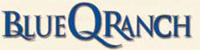 Blue Q logo