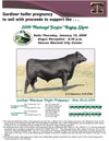 Gardiner Angus Ranch Heifer Pregnancy donation