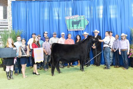 Reserve Grand Champion