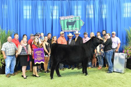 Grand Champion