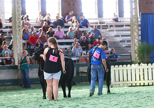 Judging Contest Results